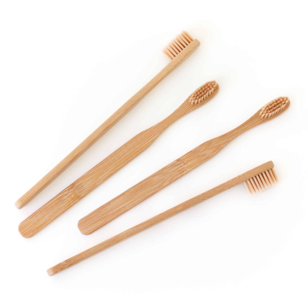 Loose Parts - ProjectPlay - LONG HANDLED BRUSH